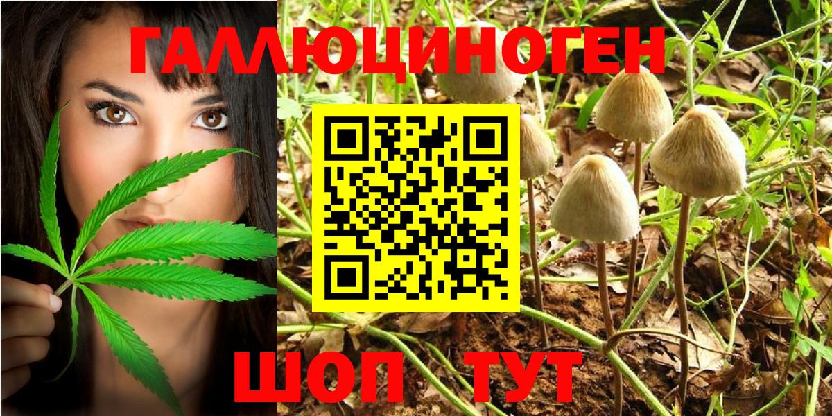 Семилуки  Галлюциногенные грибы MAGIC MUSHROOMS  Вход с VPN 